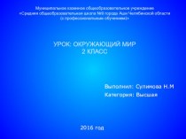 Презентация по окружающему миру Путешествие по планете. Страны мира. 2 класс