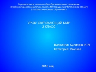 Презентация по окружающему миру Путешествие по планете. Страны мира. 2 класс