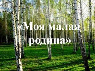 Классный час на тему: Моя малая родина