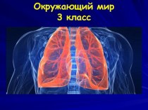 Презентация по окружающему миру на тему Дыхание и кроообращение (3 класс)