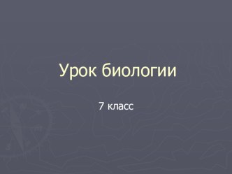 Презентация по биологии в7 классе на тему Лишайники