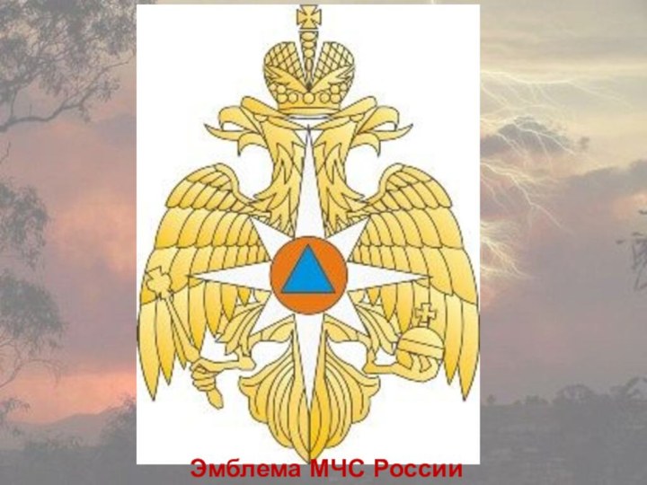 Эмблема МЧС России