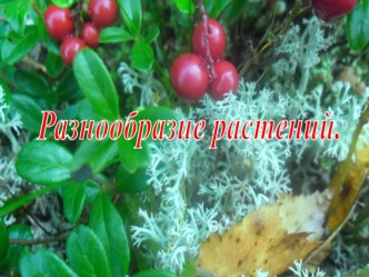 Презентация по окружающему миру на тему  Разнообразие растений. (3 класс)