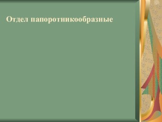 Презентация  Папоротникообразные