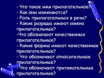 Презентация по русскому языку на тему Склонение имён прилагательных в единственном числе.