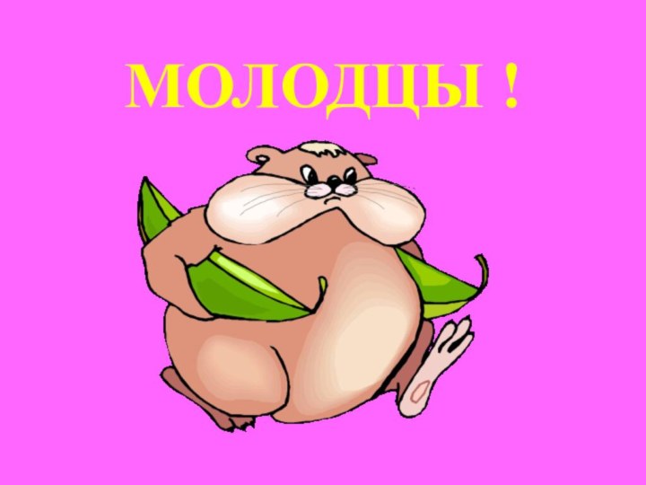 МОЛОДЦЫ !