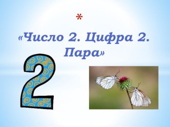 Презентация по математике Число 2. Цифра 2. Пара (5-6 лет)