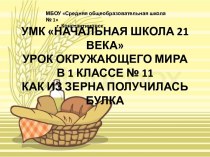 Презентация к уроку окружающего мира на тему  Как из зерна булка получилась ( 1 класс)