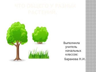 Презентация по окружающему миру Что общего у разных растений. 1 класс