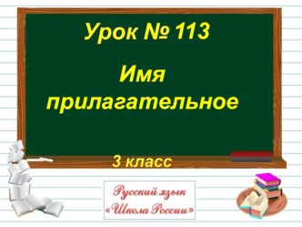 Презентация по русскому языку на тему: Имя прилагательное