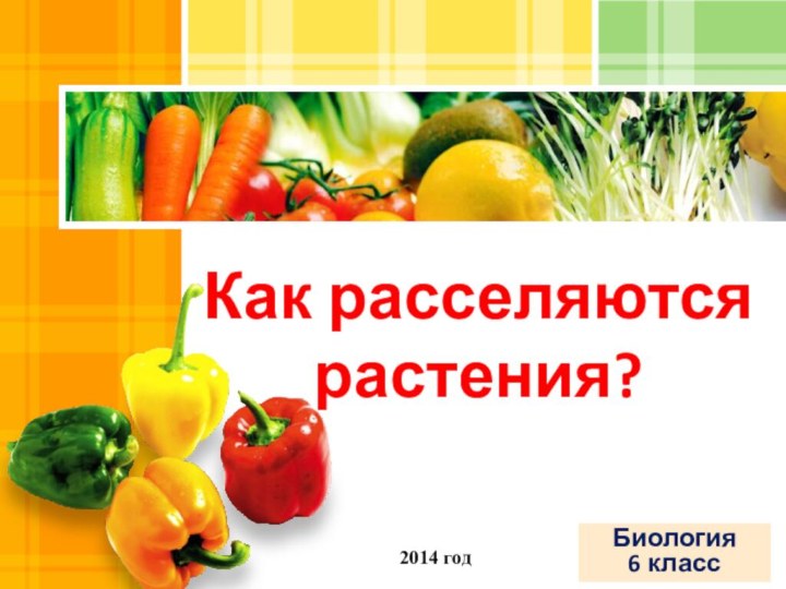 2014 годКак расселяются растения?Биология6 класс