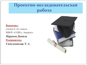 Проектно -исследовательская работа Чудеса России. Долина гейзеров. Камчатка