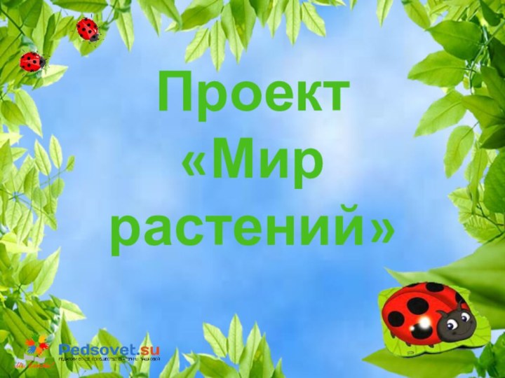 Проект  «Мир растений»