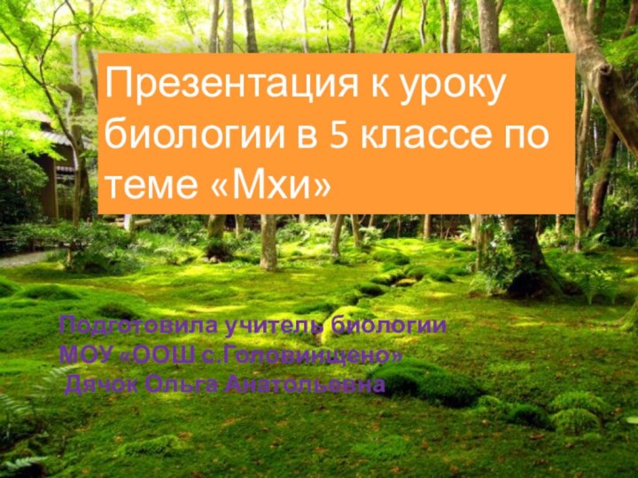 Презентация к уроку биологии в 5 классе по теме «Мхи»Подготовила учитель биологии