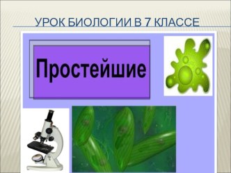 Систематика Protozoa. Особенности жизни на уровне одной клетки