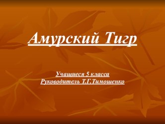 Презентация по географии Амурский тигр