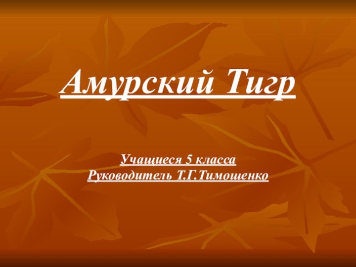 Амурский ТигрУчащиеся 5 классаРуководитель Т.Г.Тимошенко