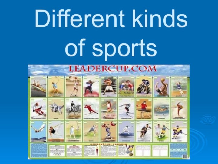 Different kinds of sports