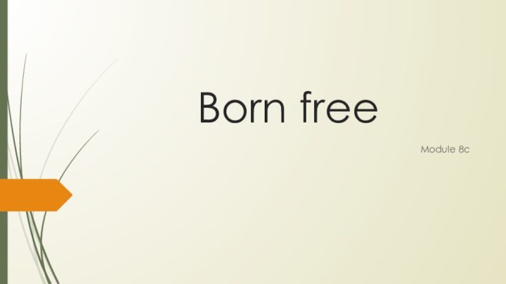 Born freeModule 8c