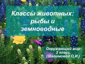 Презентация по окружающему миру на тему Классы животных: рыбы и земноводные ОС Занкова Л.В.