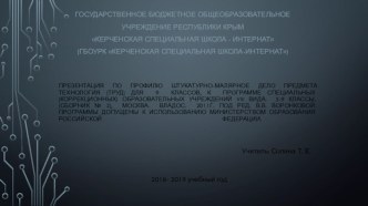 Презентация по штукатурно-малярному делу на тему Виды трафарета(9 класс)