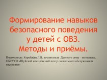 Формирование навыков безопасного поведения у детей с ОВЗ. Методы и приёмы.