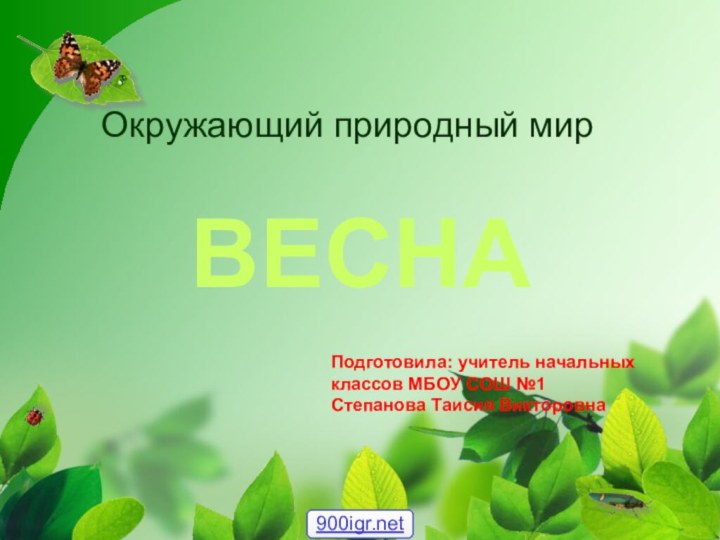 Окружающий природный мир  ВЕСНАПодготовила: учитель начальных классов МБОУ СОШ №1Степанова Таисия Викторовна