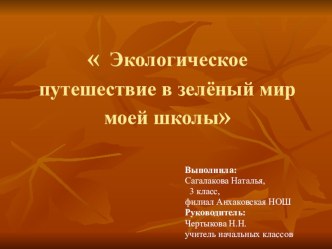 Презентация Экологическое путешествие в зеленый мир моей школы