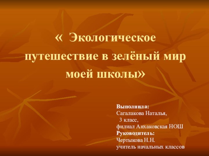 « Экологическое путешествие в зелёный мир моей школы»