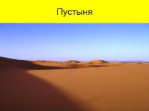 Мини проект: Особенности пустыни (презентация)