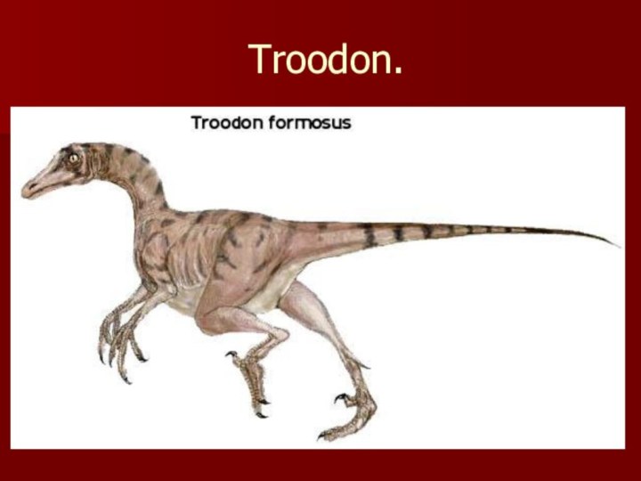 Troodon.