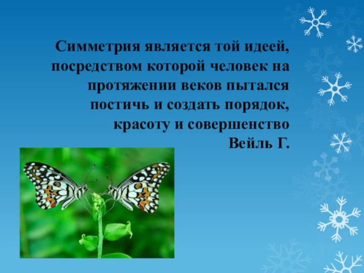 Симметрия является той идеей, посредством которой человек на протяжении веков пытался постичь