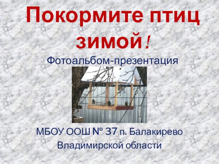 Покормите птиц зимой! Фотоальбом-презентация МБОУ ООШ № 37 п. БалакиревоВладимирской области