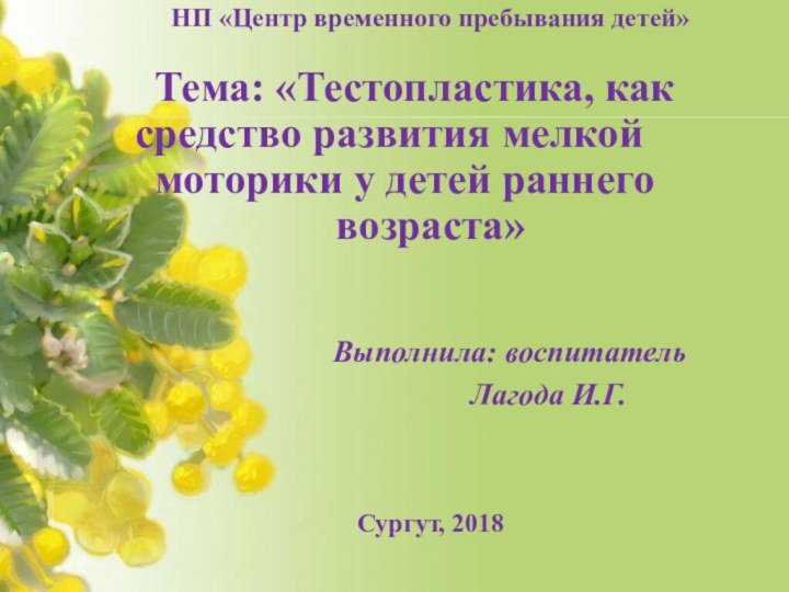 НП «Центр временного пребывания детей»  	Тема: «Тестопластика, как 		средство развития мелкой