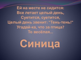 Презентация к занятию по внеурочной деятельности в 1 классе День синиц