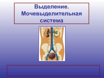 Презентация по биологии на тему  Выделительная система