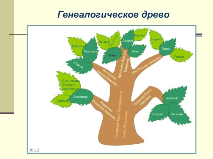 Древо понятий. Дерево семейных ценностей. Дерево ценностей семьи. Родословная дерево. Дерево семейных ценностей рисунок.