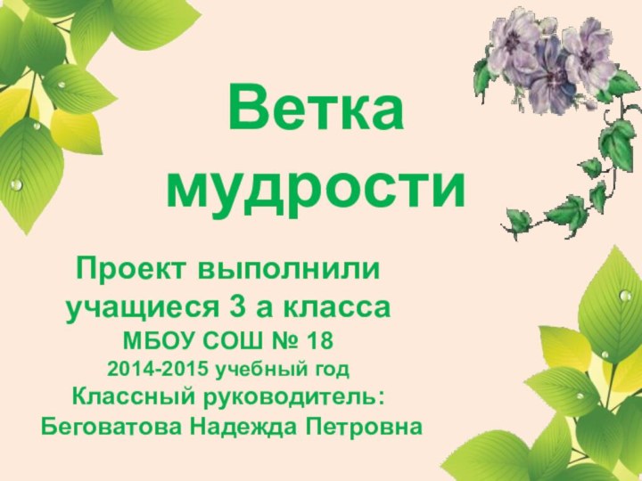 Ветка мудростиПроект выполнили учащиеся 3 а классаМБОУ СОШ № 182014-2015 учебный годКлассный руководитель: Беговатова Надежда Петровна