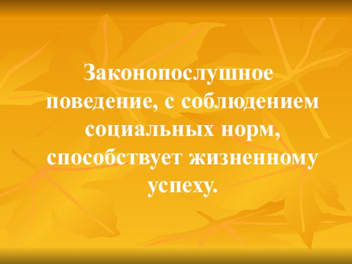 Законопослушное поведение, с соблюдением социальных норм, способствует жизненному успеху.