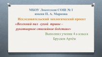 Исследовательский экологический проект Весенний пал травы-рукотворное стихийное бедствие