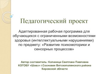 Урок презентация Педагогический проект