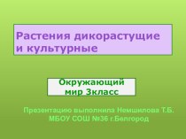 Электронный образовательный ресурс - презентация по окружающему миру для учащихся на тему Растения дикорастущие культурные(3 класс)