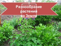 Презентация по окружающему мируМногообразие растений на Земле(2 класс)