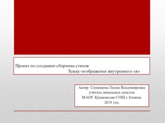 Презентация по литературному чтению Хокку