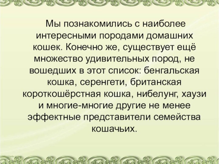 Мы познакомились с наиболее интересными породами домашних кошек. Конечно же, существует ещё