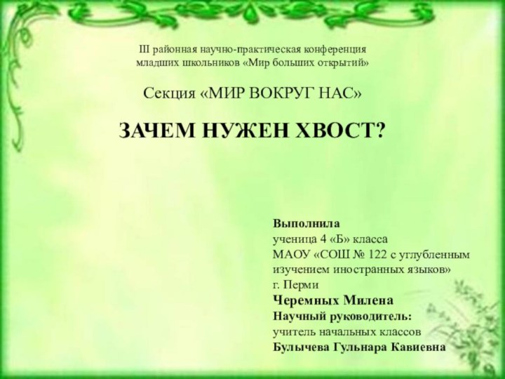 III районная научно-практическая конференция  младших школьников «Мир больших открытий»  Секция