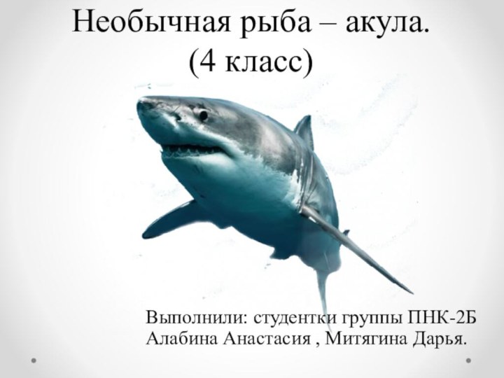Необычная рыба – акула. (4 класс)Выполнили: студентки группы ПНК-2Б Алабина Анастасия , Митягина Дарья.