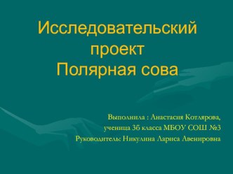 Презентация к исследовательскому проекту по окружающему миру на тему Полярная сова,выполненная Анастасией Котляровой,ученицей 3б класса.Руководитель: Никулина Л.А.