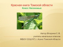 Презентация по окружающему миру 2 класс Красная книга Томской области. Класс насекомые.