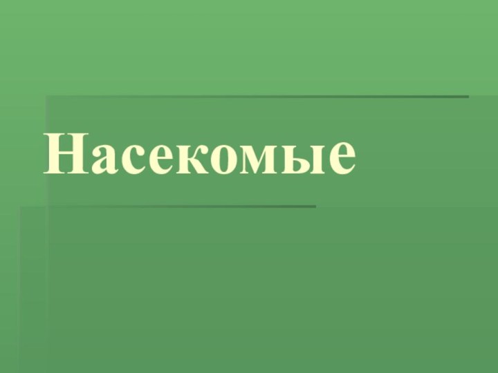 Насекомые